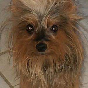 Meet your Posher, Trish